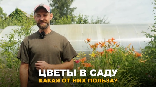 Какие цветы посадить в огороде. Сажаем не только для красоты, но и с пользой для участка!