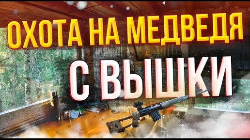 Охота на медведя с вышки на приваде! #охотанаприваде