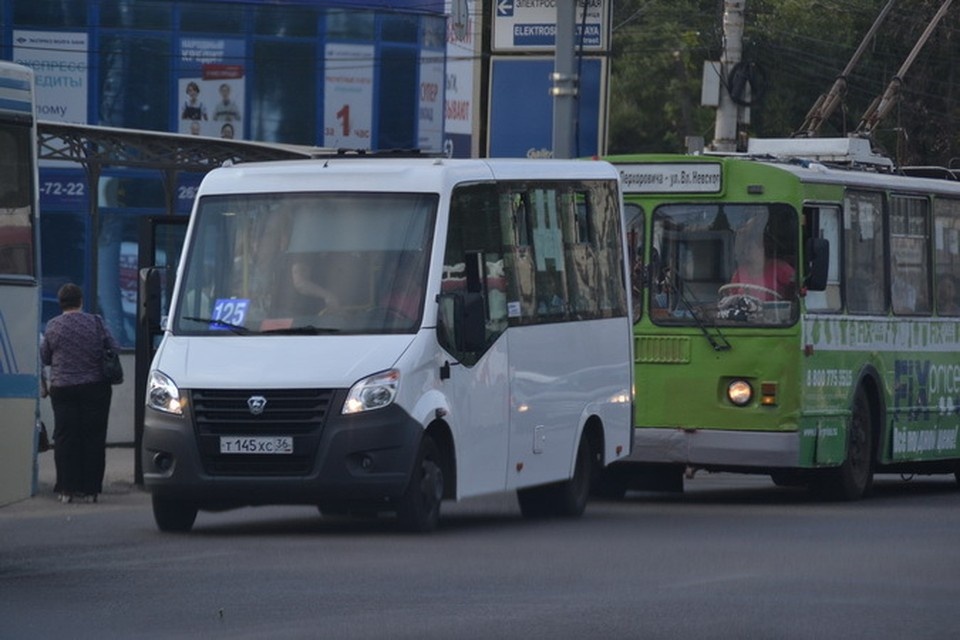    . Татьяна ПОДЪЯБЛОНСКАЯ