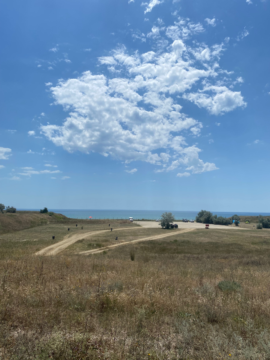 Бетонный квадрат это и есть стоянка для машин, рядом кусты