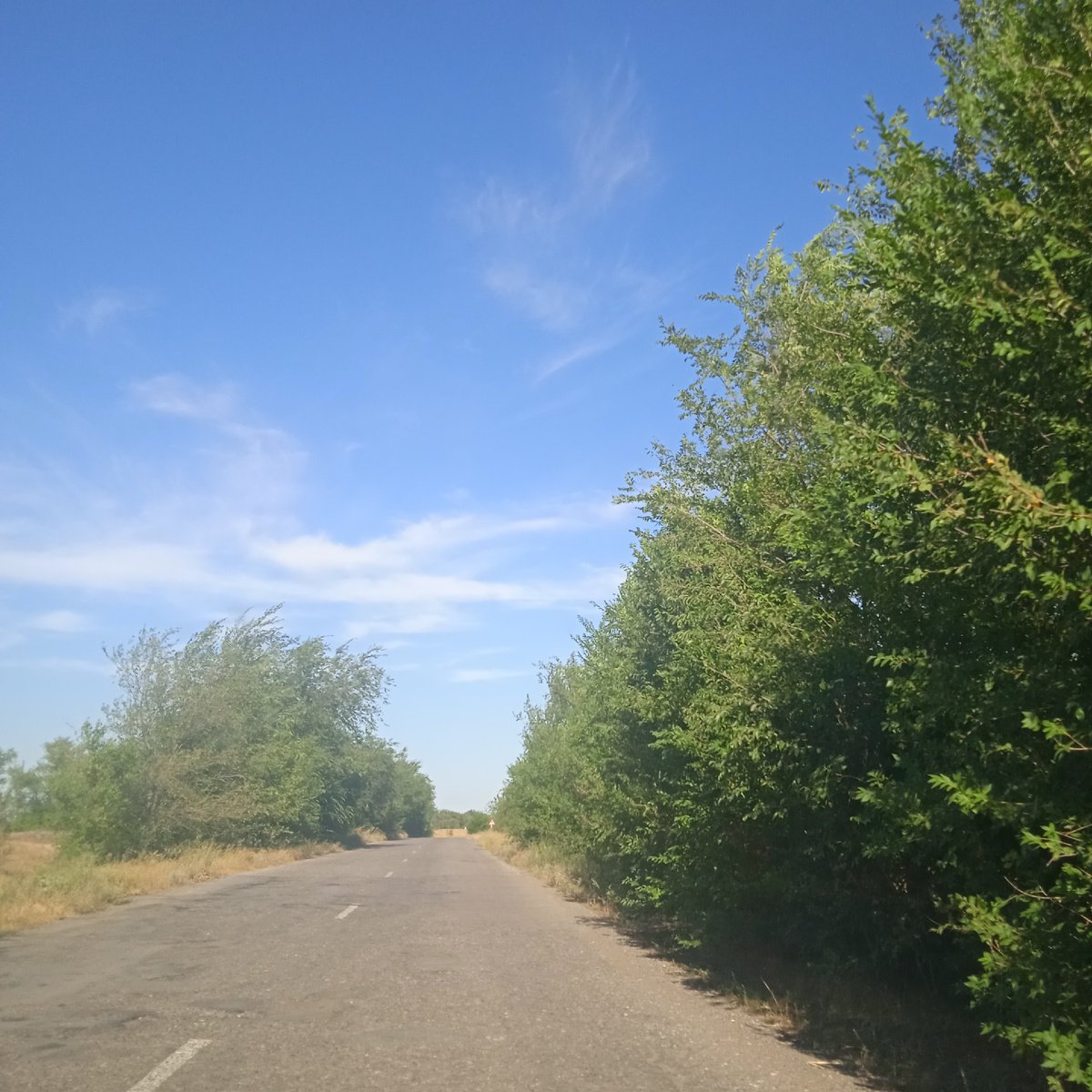 Волгоградская область. За бортом +34