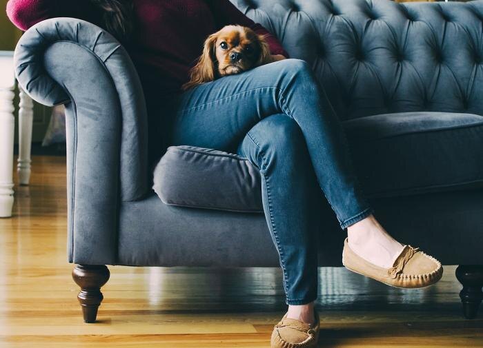 Собаки давно заслужили репутацию самых надёжных компаньонов для человека, помогая нам избежать чувства одиночества.