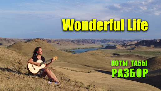 Wonderful Life - Black | На гитаре | Ноты Разбор