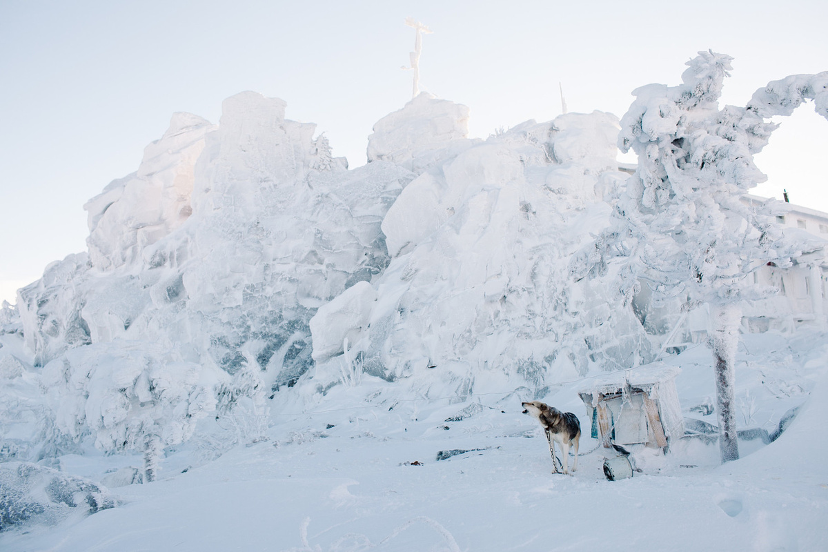 Анна Марченкова 