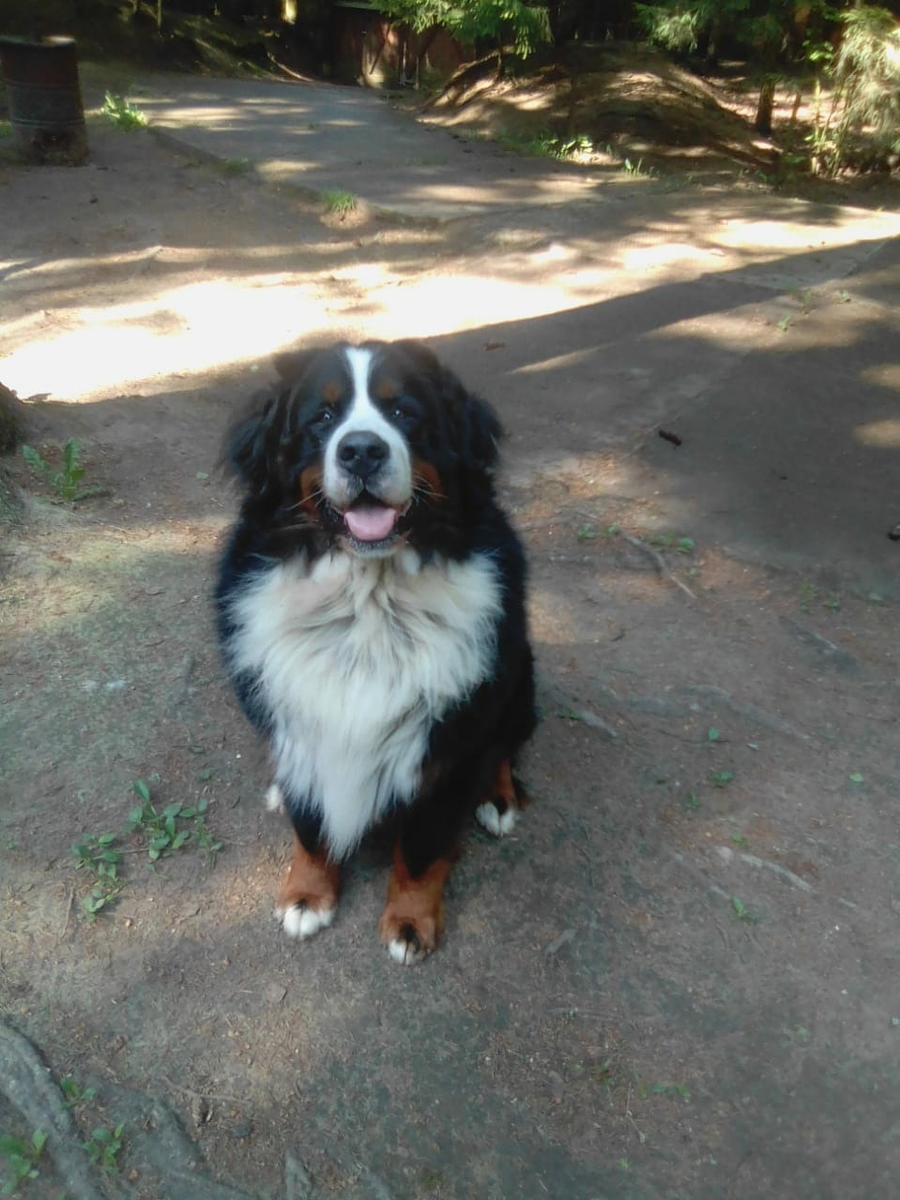 Такой он сегодня