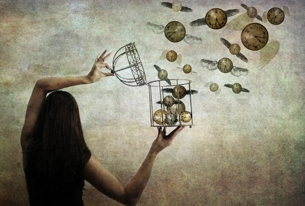 Добавьте описание