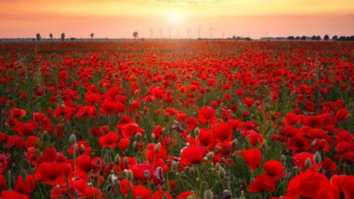 Договор дарения - походить к нему нужно ответственно и внимательно.