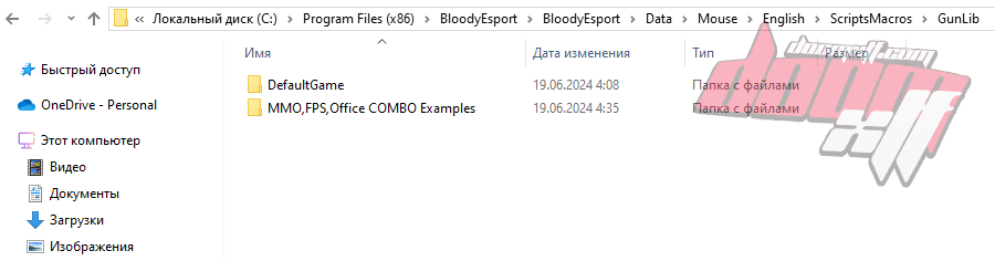 Пример пути по которому загружаются макросы для мышки Блади.