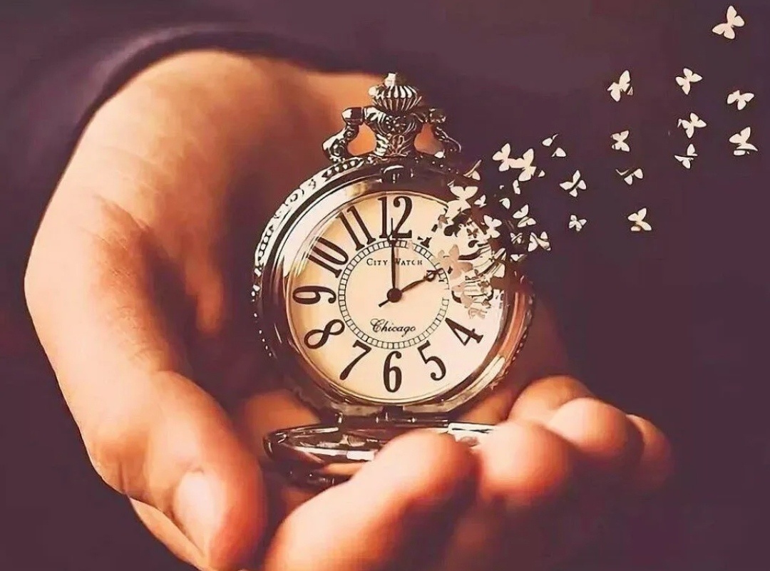 из открытых источников