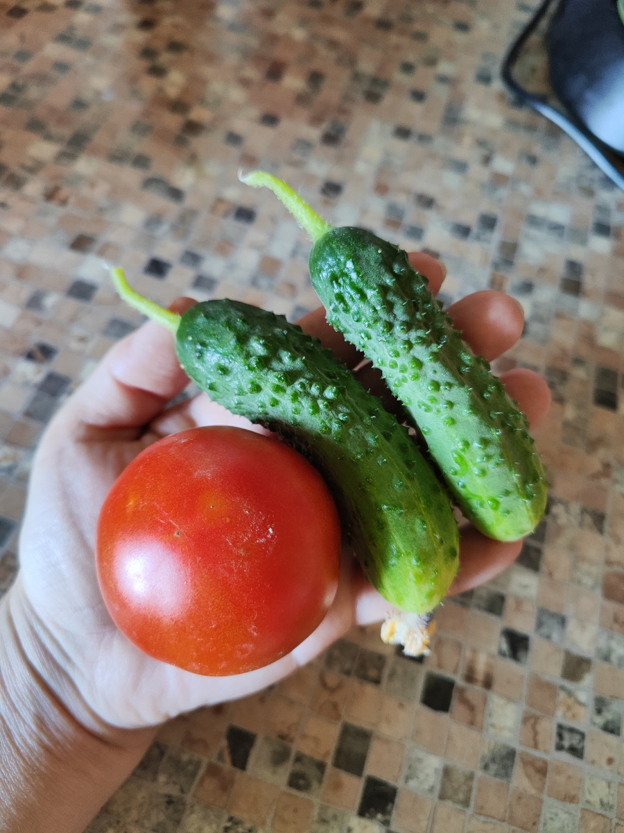 Такой урожай поспел...