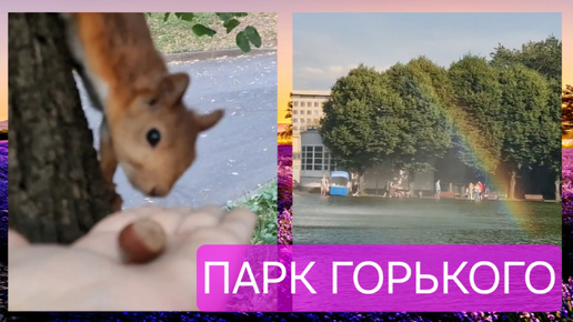 Парк Горького. Музей парка. Парк Музеон. Кормим белочек