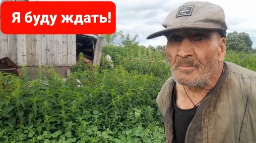 Дед Матвей и разлука. Расставание добрых друзей