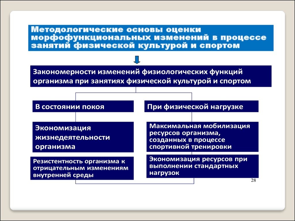 Польза спорта для здоровья и жизненной активности | cosareff.konstantin |  Дзен