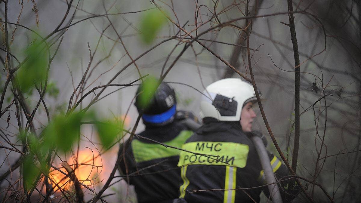    Фото: Пелагия Замятина / Вечерняя Москва