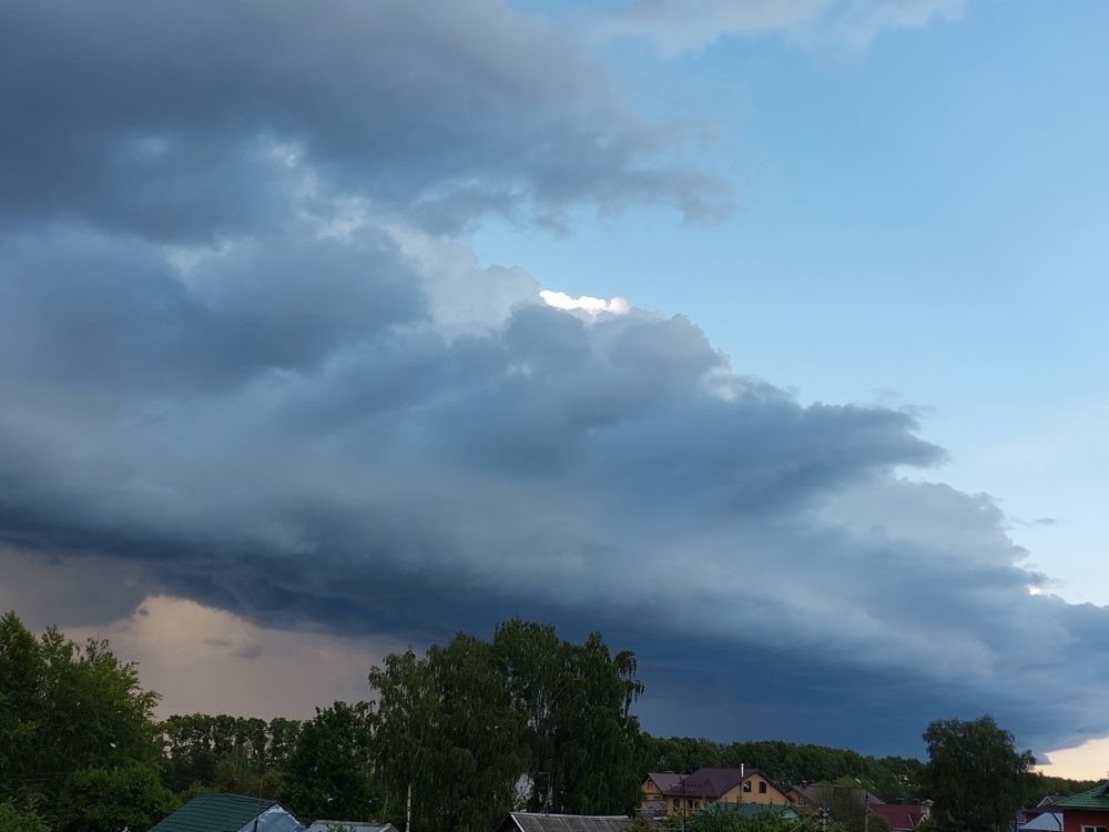 Фото: Елена Яковлева