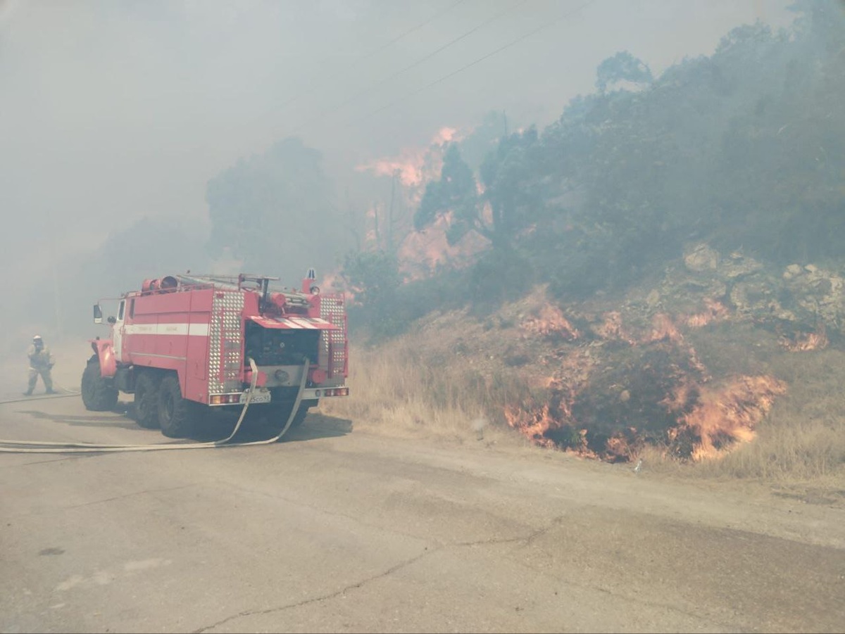 Фото из сети