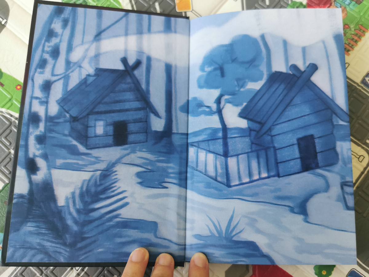 Форзац и нахзац