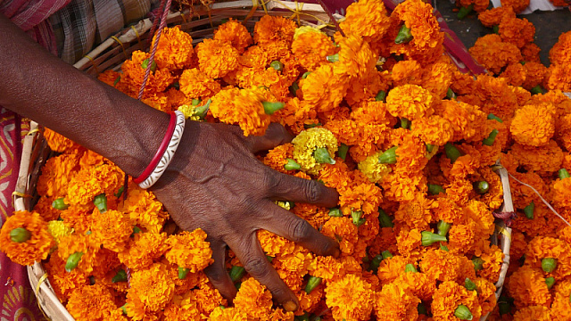 Индийская индустрия переработки цветочных отходов стремительно растет. Она способствует защите окружающей среды, эффективно уменьшает свалки и предоставляет женщинам возможности для трудоустройства.