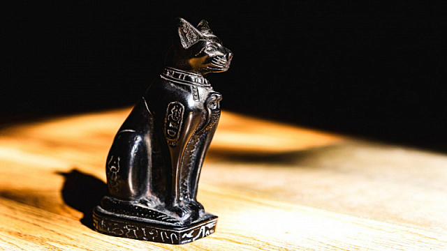 В Шанхайском музее в июле запланированы 10 ночных мероприятий, связанных с экспозициями египетских древностей, в ходе которых посетителям можно будет взять с собой домашних кошек, передает «Синьхуа»,