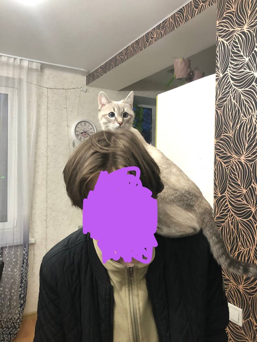 фото прилагается