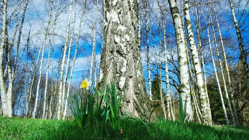  Фото: @EyeEm / freepik.com