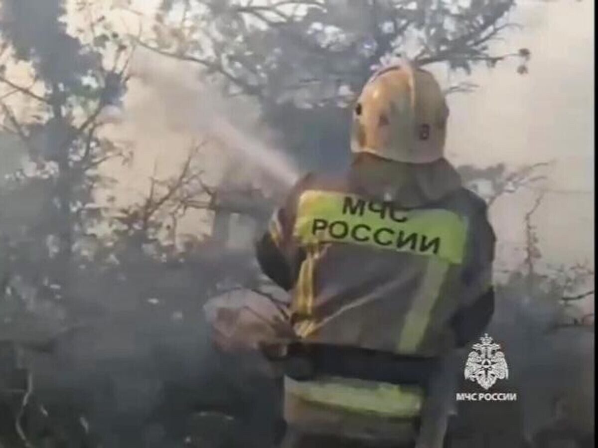    Лесной пожар под Новороссийском. Стоп-кадр видео© МЧС РФ
