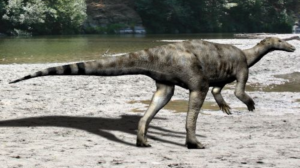 Тесцелозавры были довольно удивительными созданиями — растительноядными, но при этом двуногими, хотя и с длинными «руками».