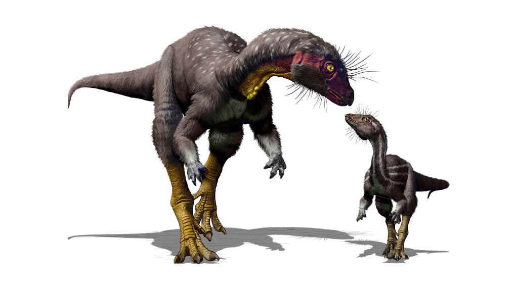 Честное слово, я без понятия, какой дурак нарисовал динозавру вибриссы.