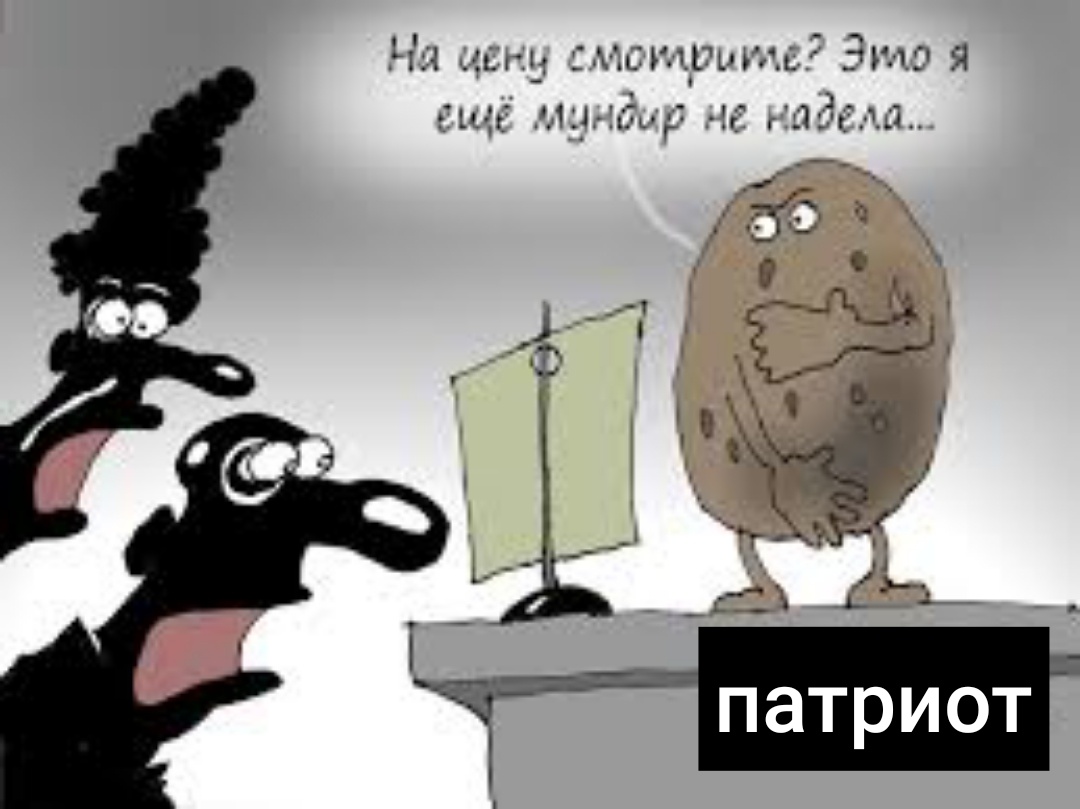 Фото из открытых источников 