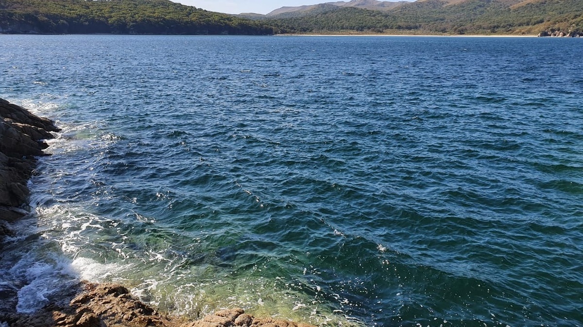     Источник: vostokmedia.com