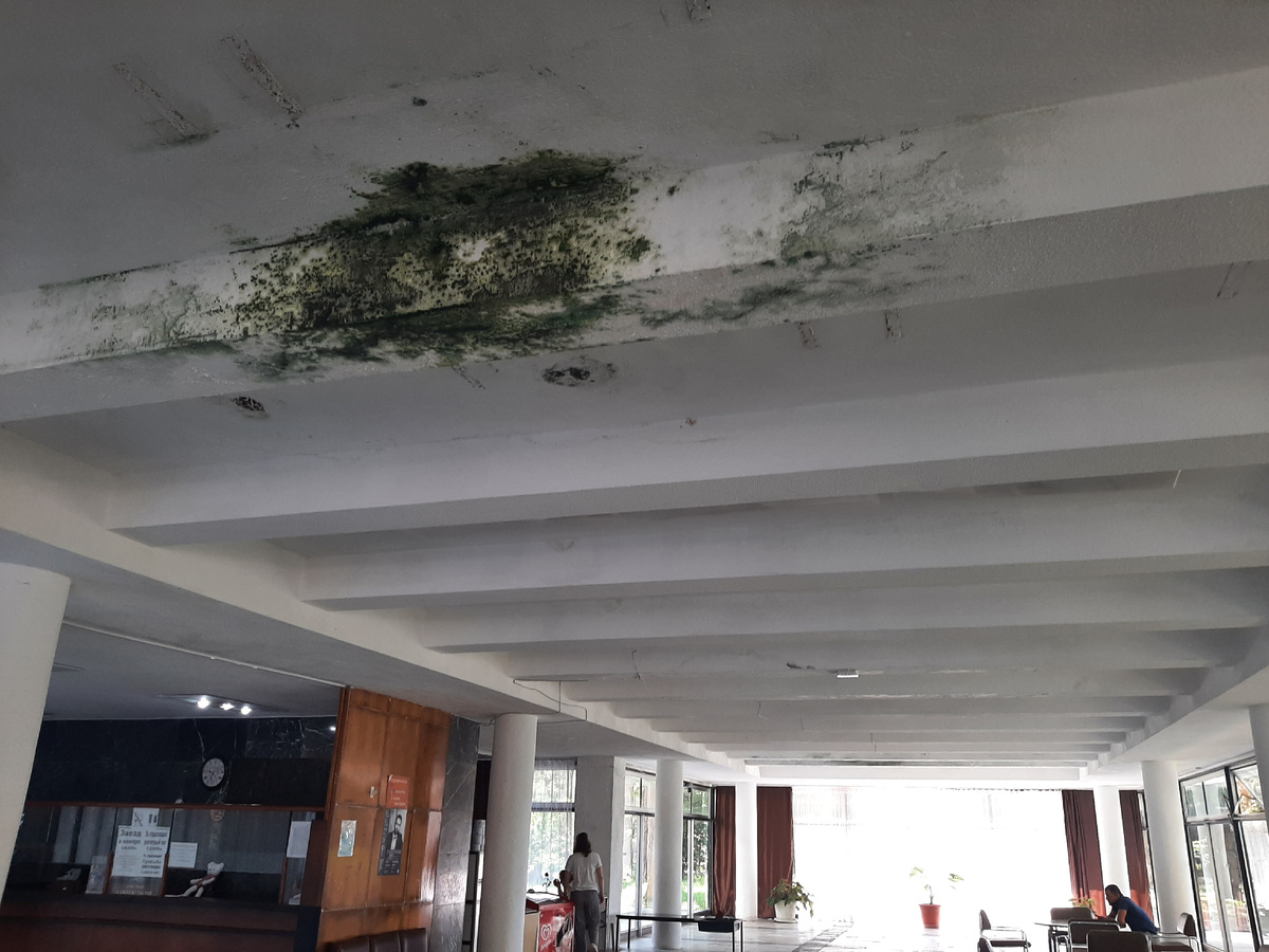 Плесень на потолке, на входе в корпус Маяк, ОПК Пицунда, Абхазия в июле 2023г. 