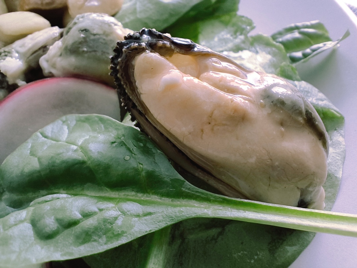 © Яна Левашова 