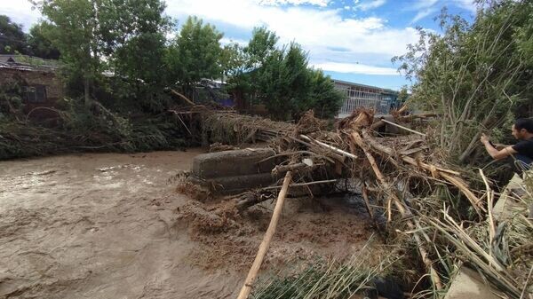    © Фото / пресс-служба мэрии города Ош