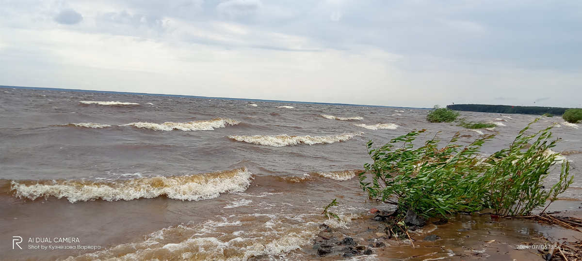 Фото автора. Рыбинское водохранилище. д. Городище, 2024 г.