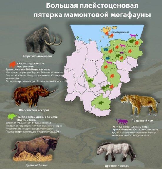 Самые запоминающиеся из животных