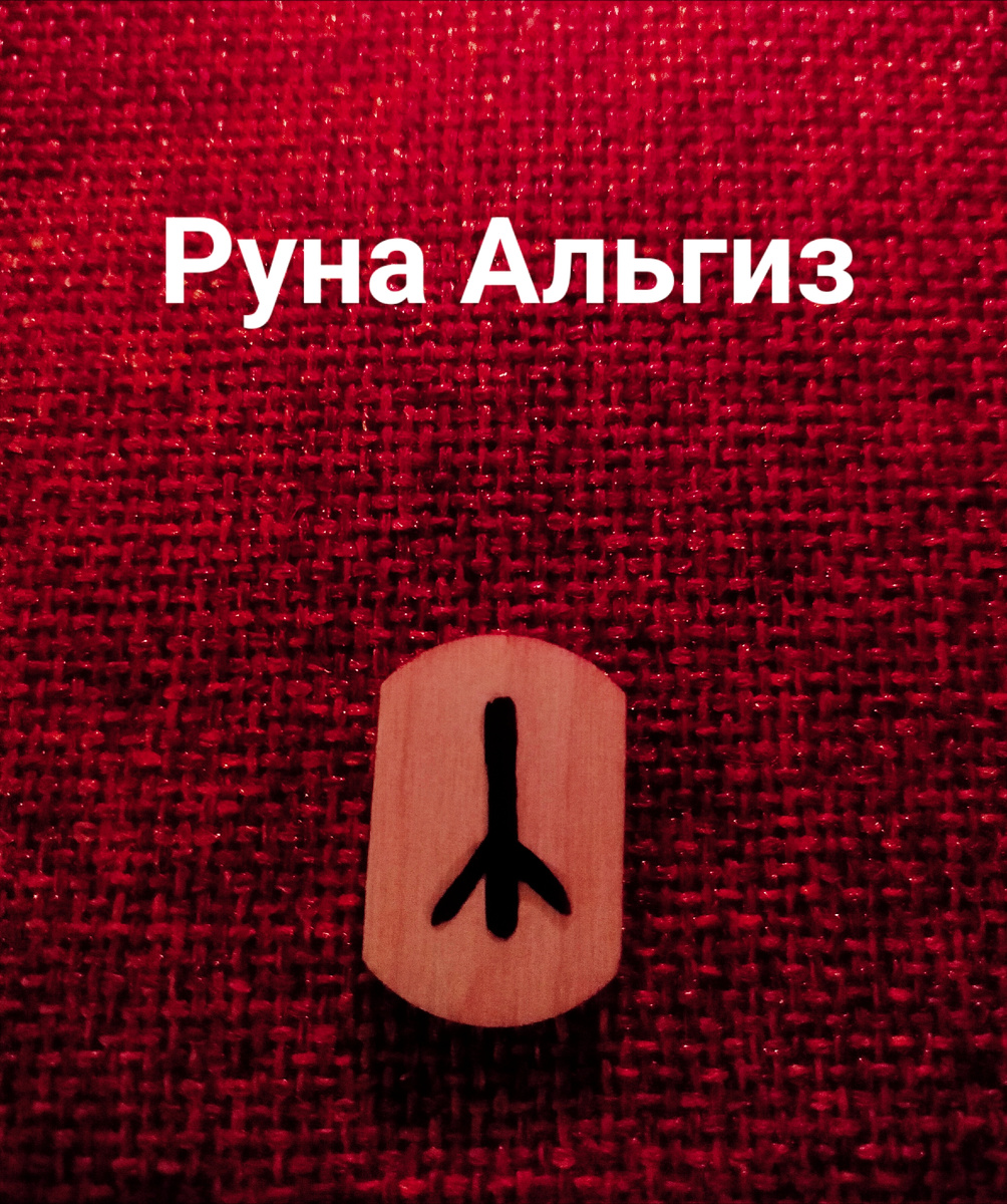 Руна Альгиз