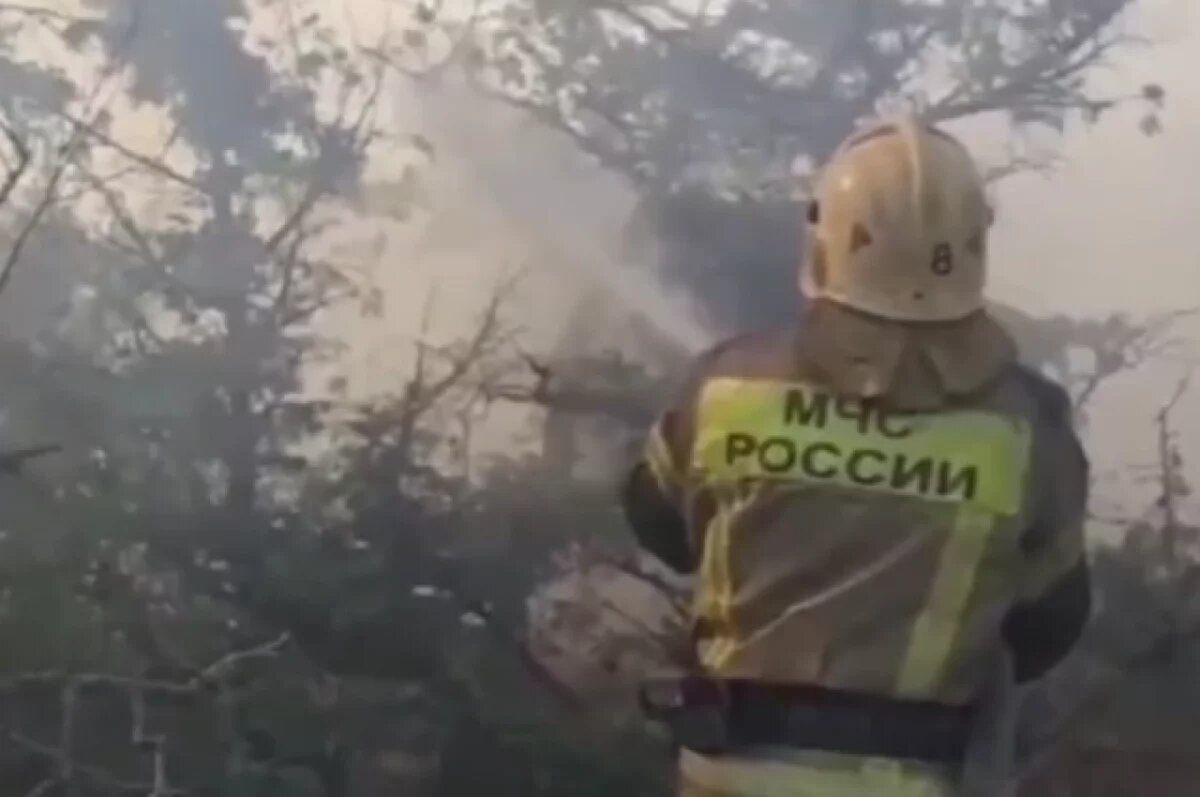    На базах отдыха под Новороссийском пожар уничтожил 38 построек и 5 машин