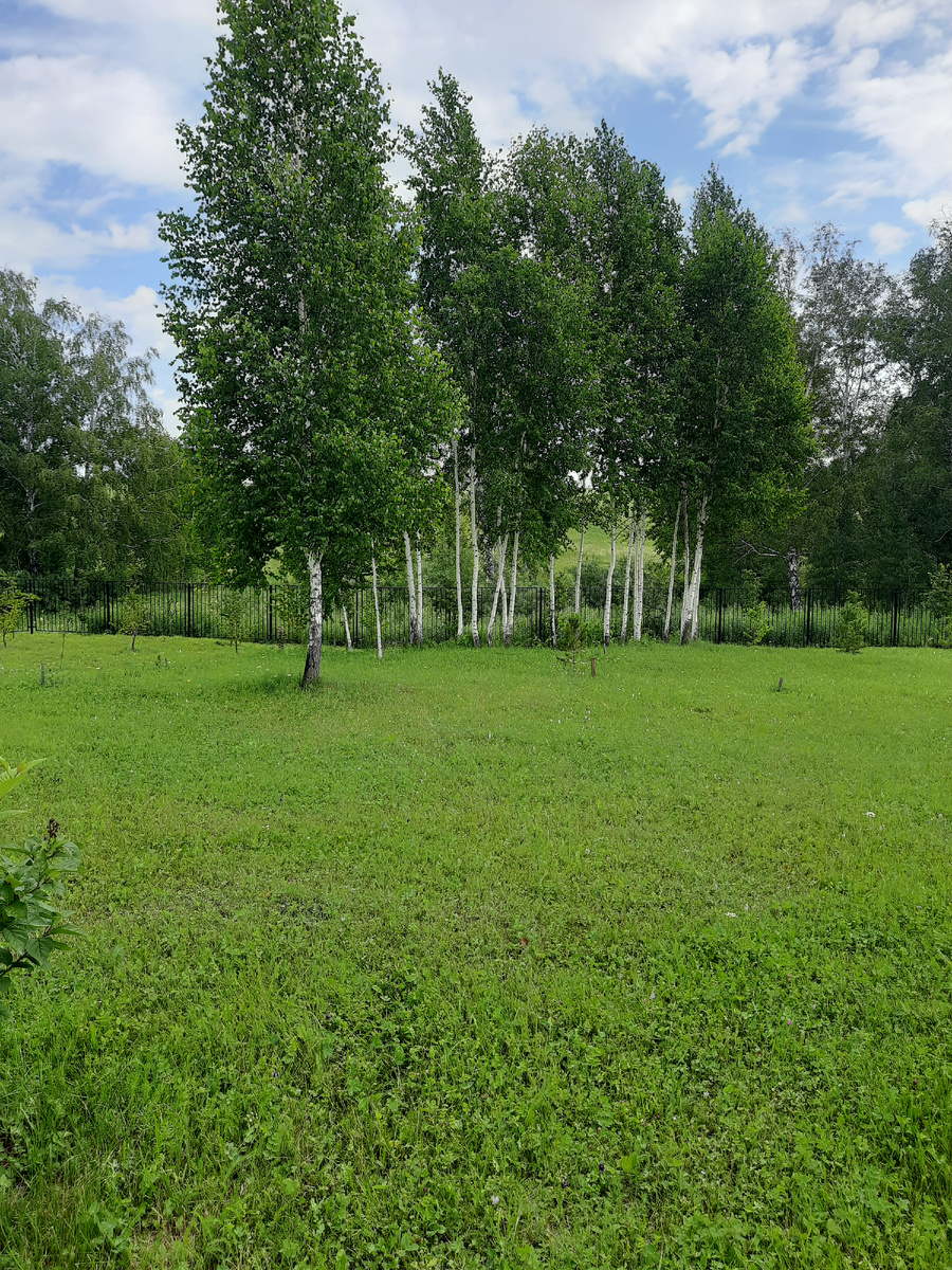 в парке