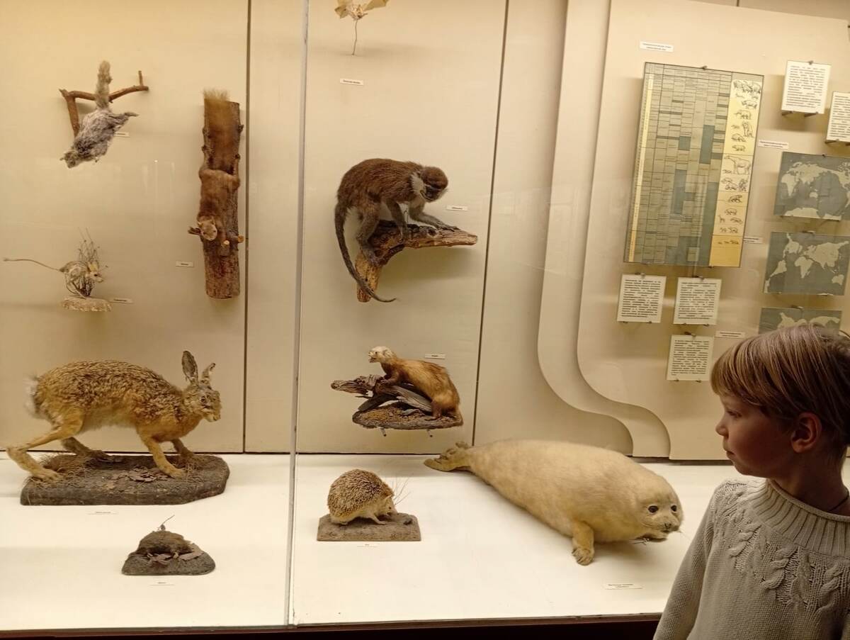 Гипотетические питомцы