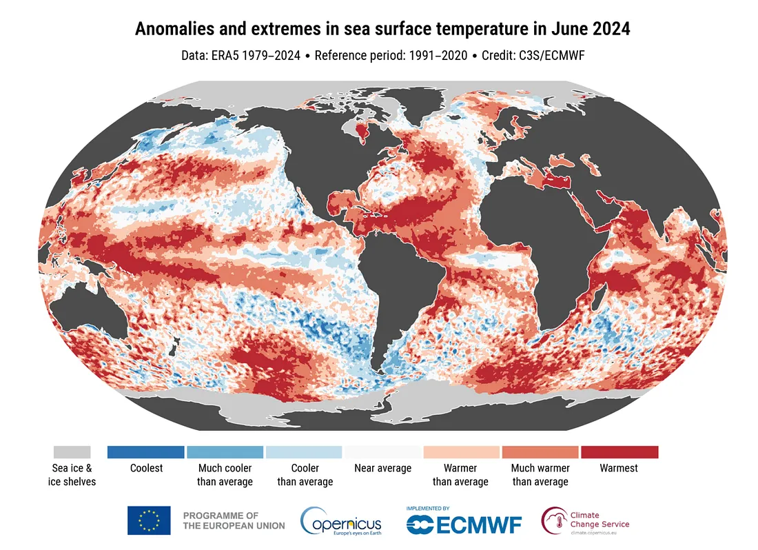 Аномалии и экстремальные значения температуры поверхности моря в июне 2024 года.