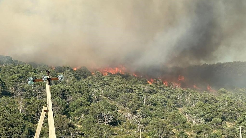    Фото: ГУ МЧС по Краснодарскому краю