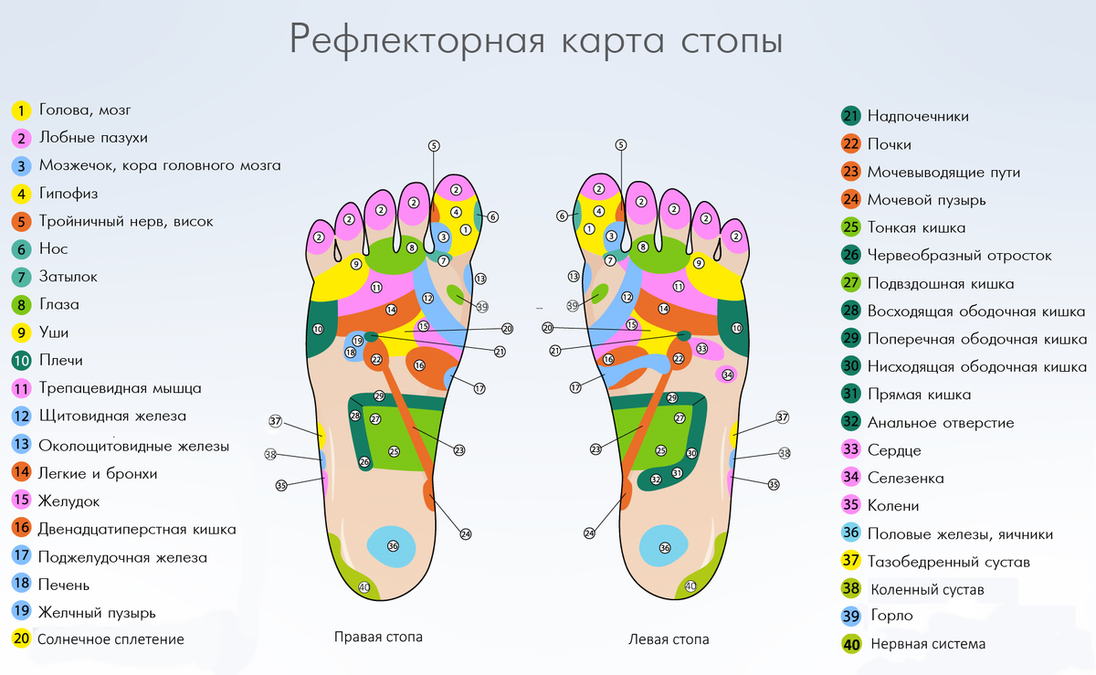 Еще в древности было замечено: чем больше человек двигается, тем лучше он себя чувствует и дольше живет.