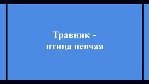 Красноножка Tringa totanus птица певчая живет у воды