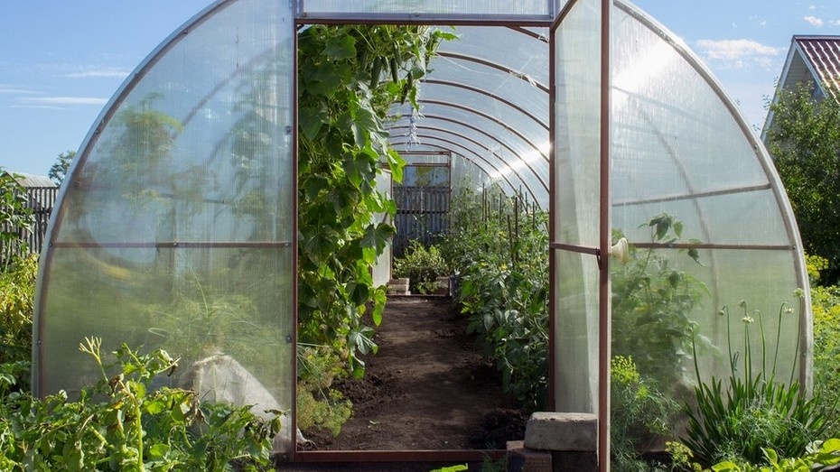 ShutterStock/Fotodom.ru 