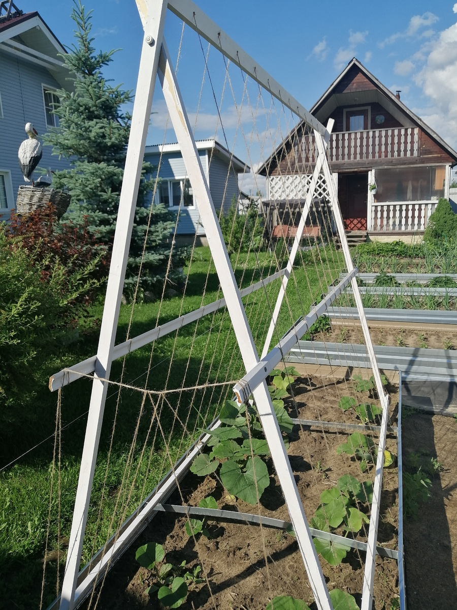 Освоение новой грядки