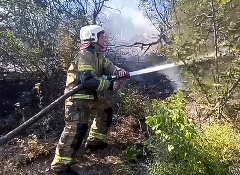    © МЧС России/ТАСС