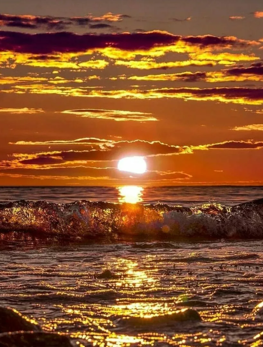 Фото взято из свободного бесплатного доступа в интернете.