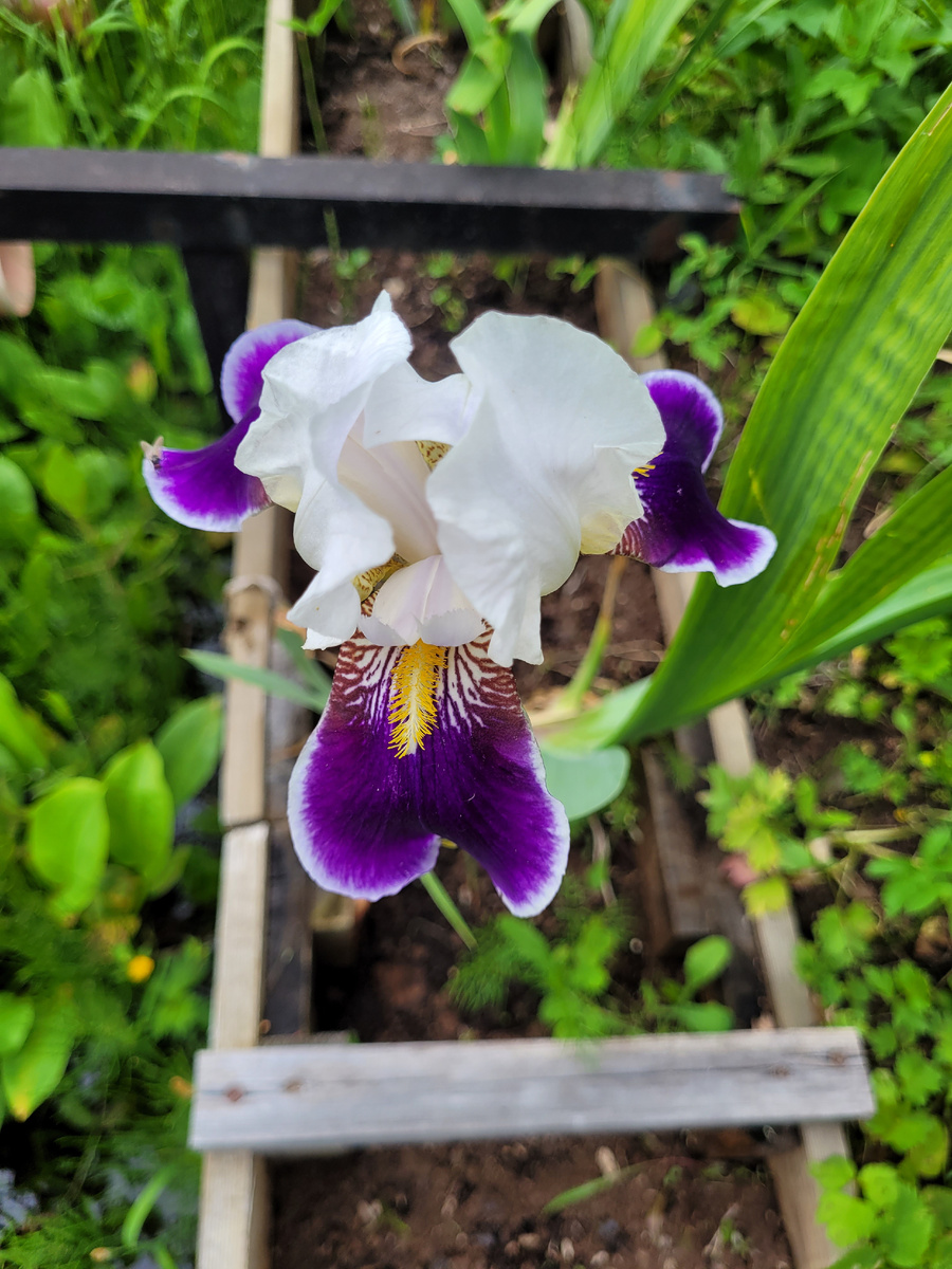 Фото из личного архива.