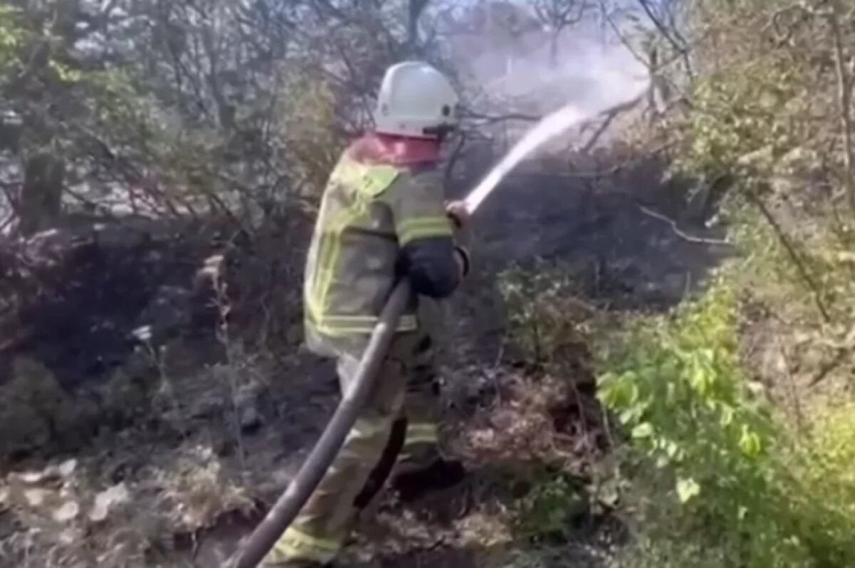    Пожар под Новороссийском уничтожил уже почти 70 построек
