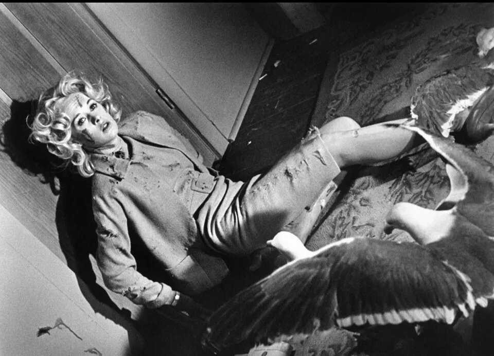 «Птицы» (1963) — Альфред Хичкок Фото: imdb.com  Select an Image